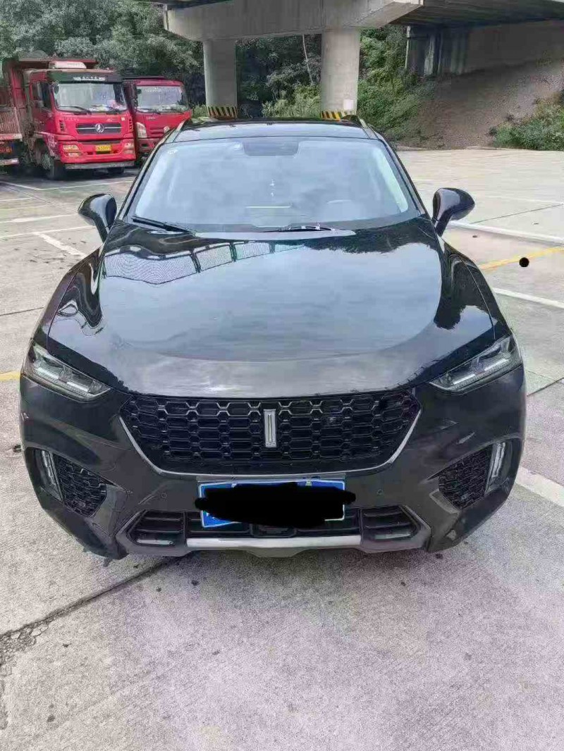 淮南17年长城汽车魏牌1