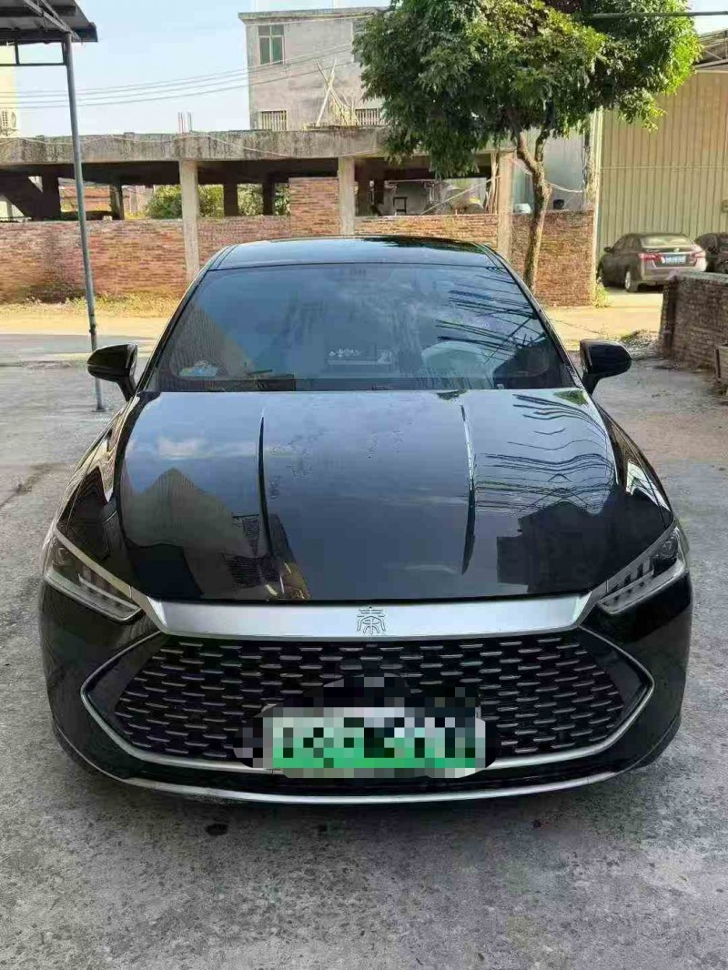 珠海24年比亚迪秦1