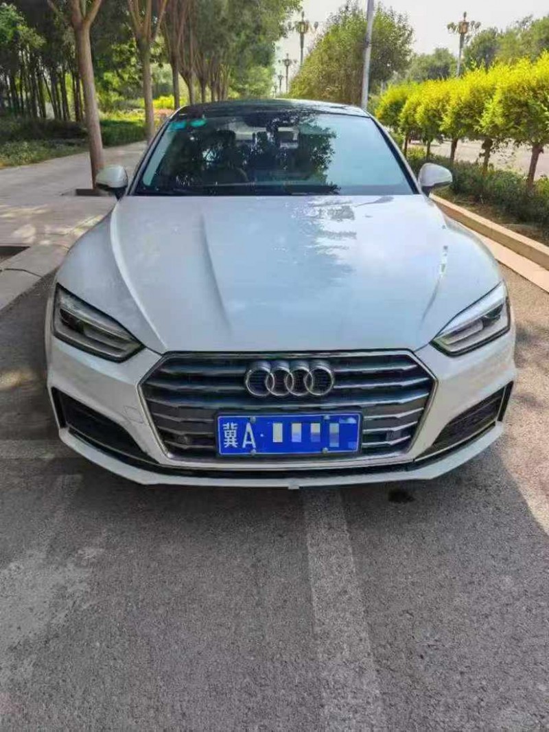 石家庄17年奥迪A51