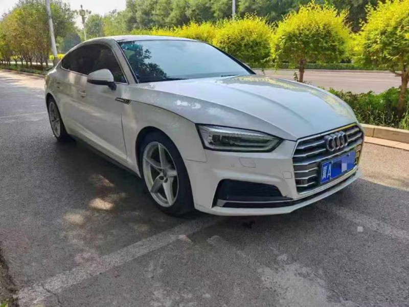 石家庄17年奥迪A52