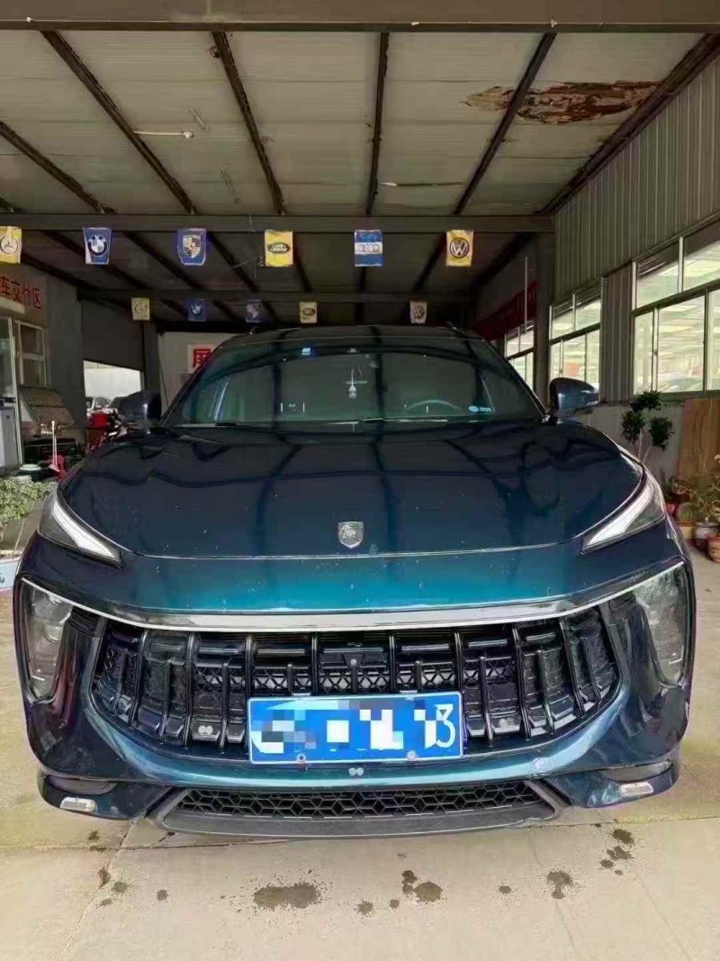 淄博22年东风风行1