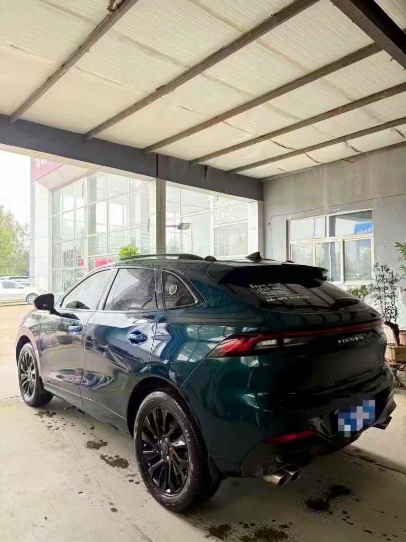 淄博22年东风风行8