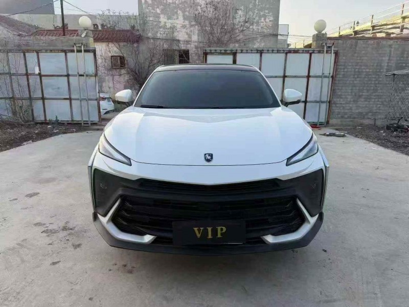 淄博24年东风风行1