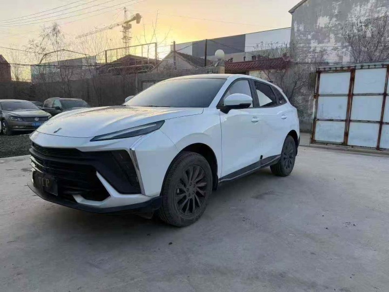 淄博24年东风风行2