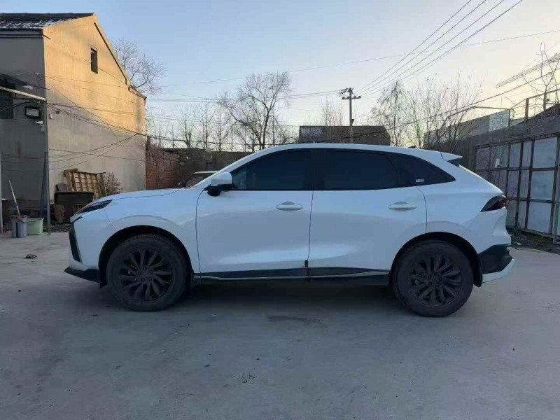 淄博24年东风风行7