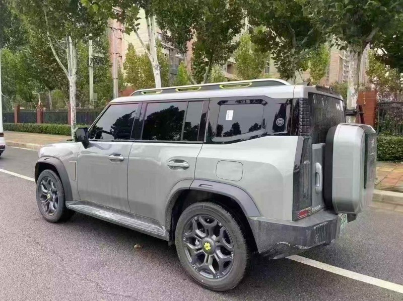 新乡25年奇瑞捷途8