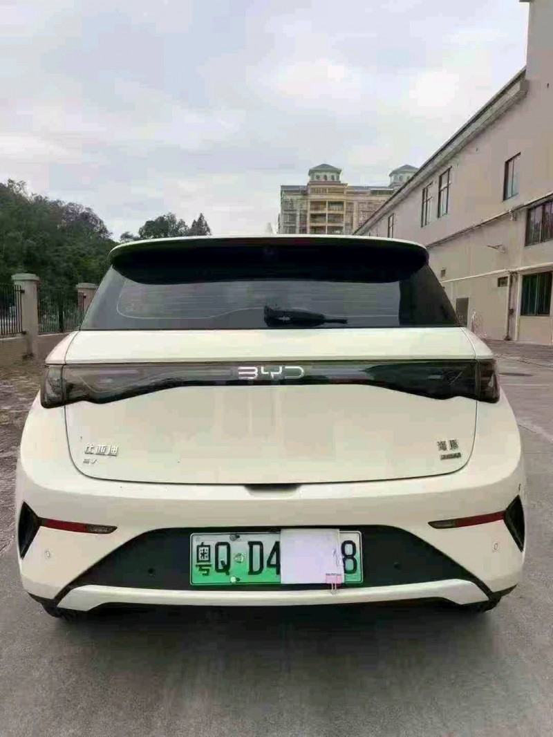 湛江25年比亚迪海豚9