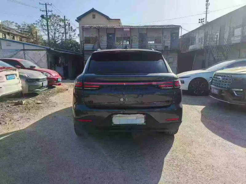 衡阳24年零跑汽车C118