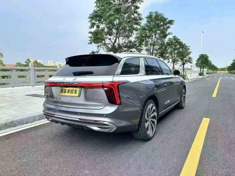 珠海21年红旗E-HS98