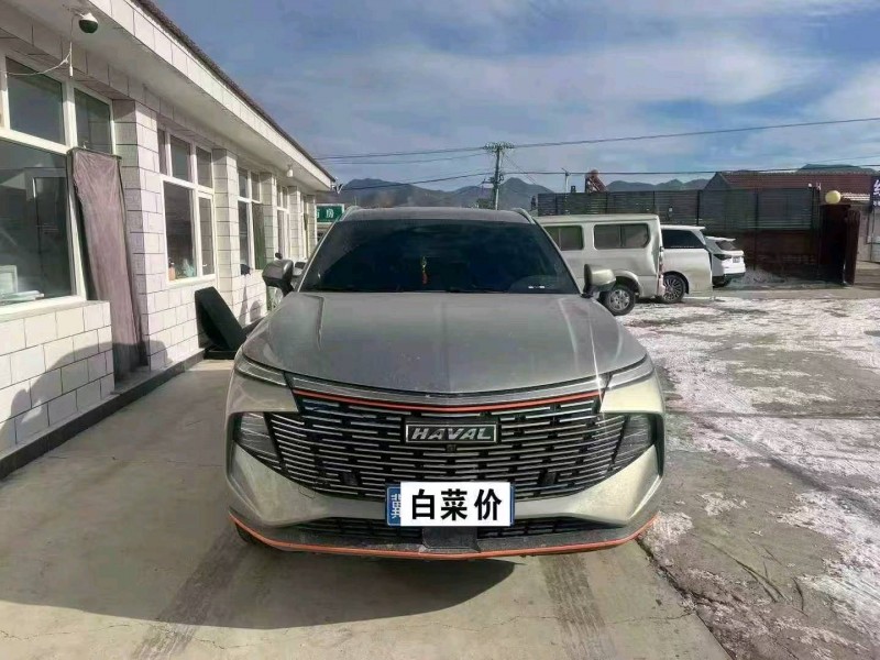 张家口22年哈弗神兽1