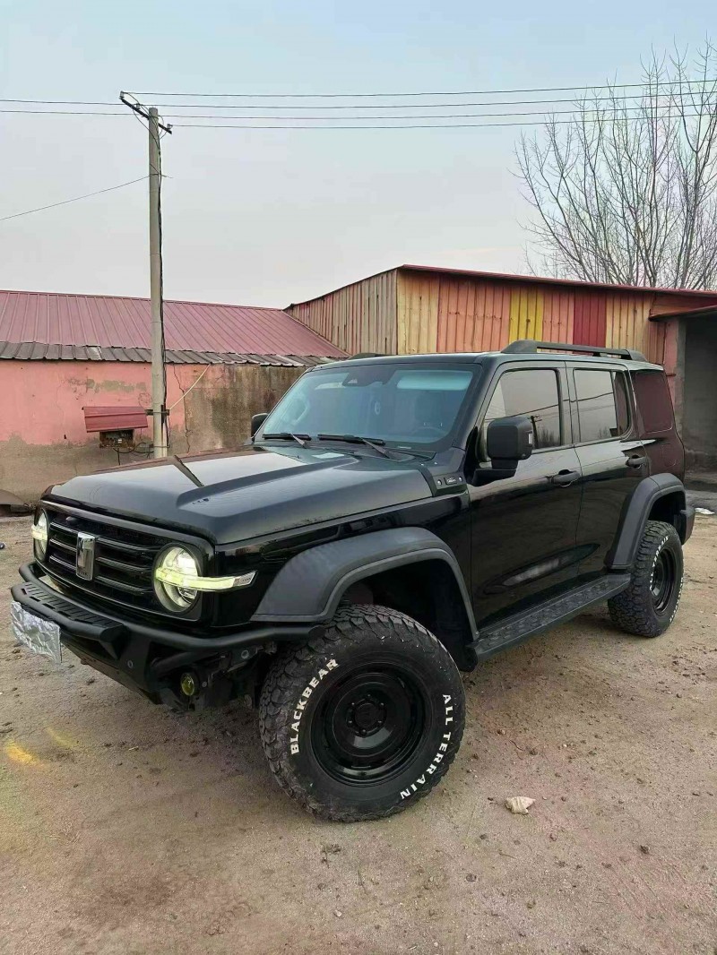 秦皇岛21年长城汽车坦克2