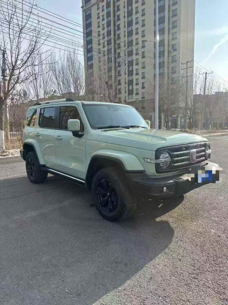 东营22年长城汽车坦克2