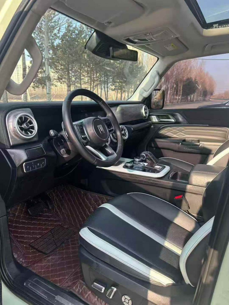 东营22年长城汽车坦克5