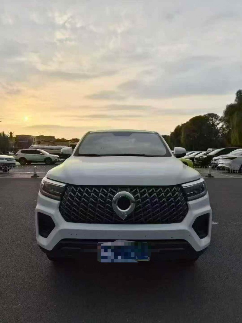 平顶山24年长城汽车炮 皮卡1