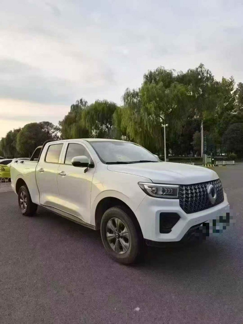 平顶山24年长城汽车炮 皮卡3