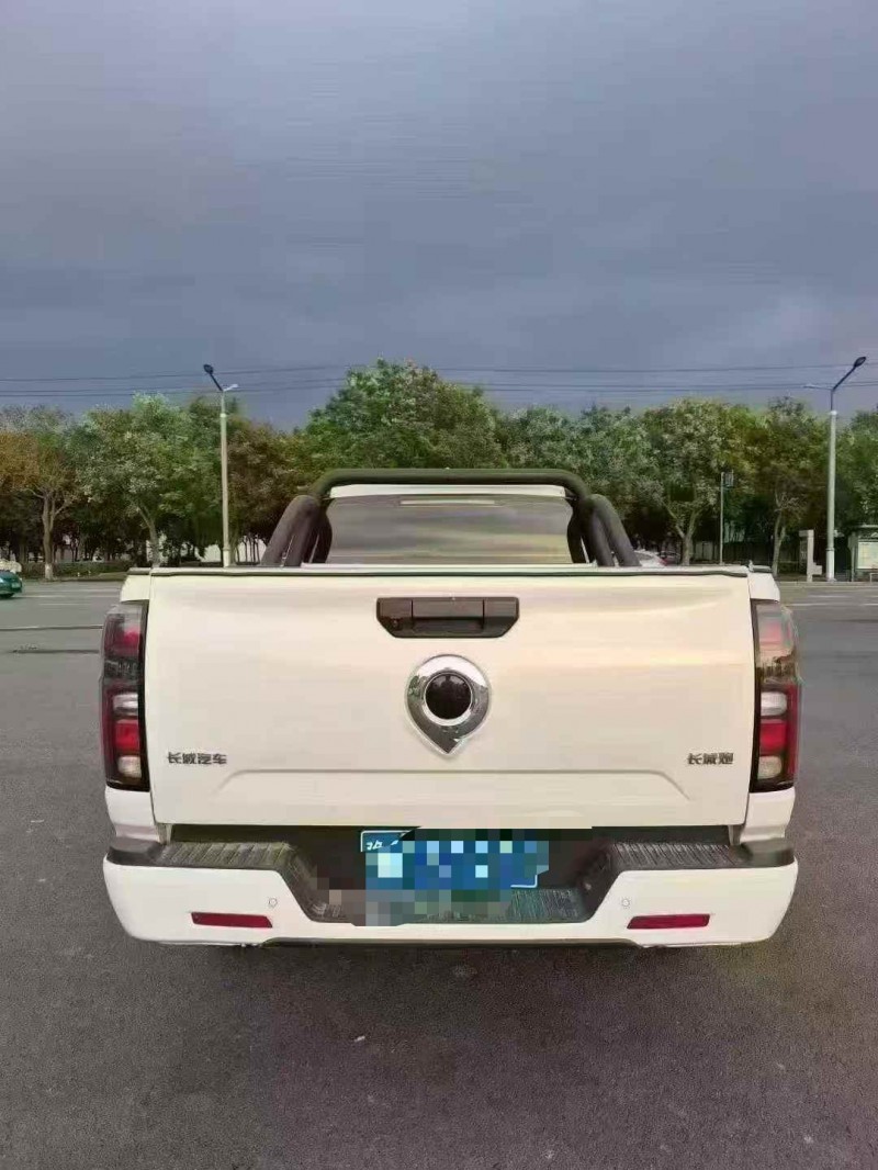 平顶山24年长城汽车炮 皮卡9