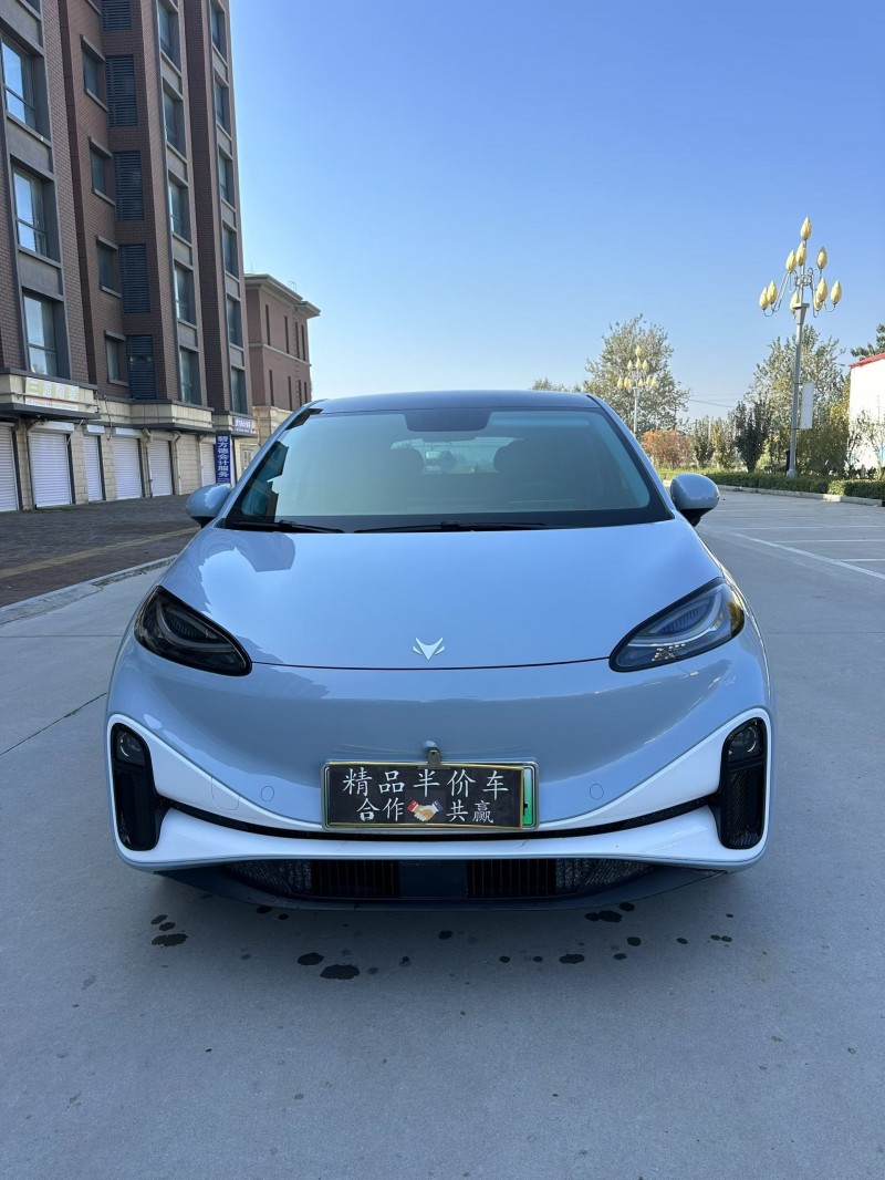 邢台25年极狐汽车考拉1