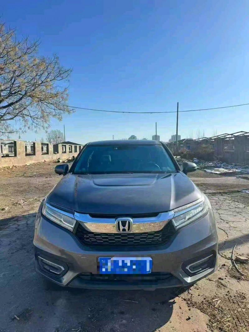 枣庄17年本田冠道1