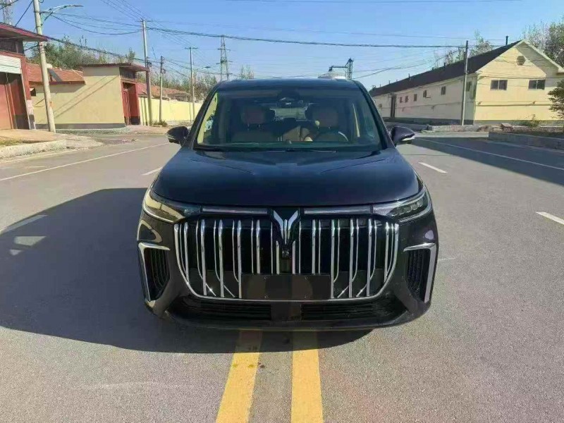 枣庄23年岚图汽车梦想家1