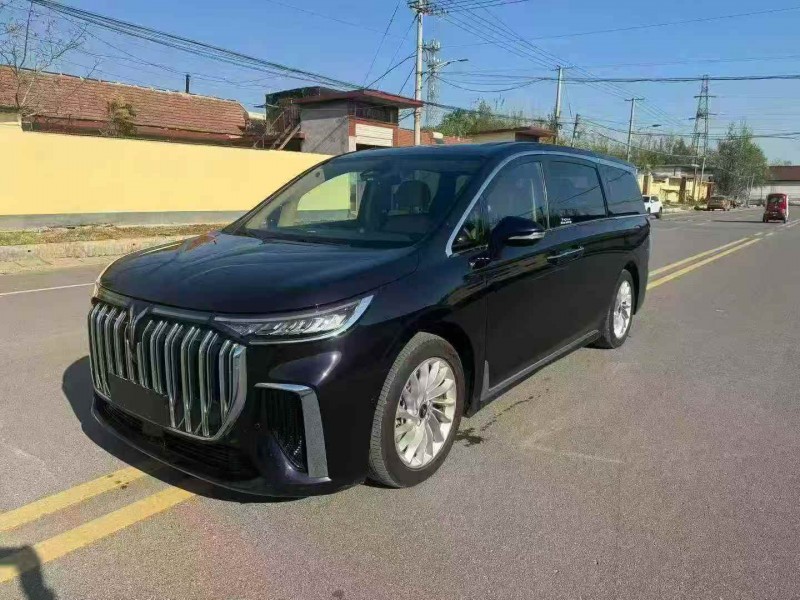 枣庄23年岚图汽车梦想家3