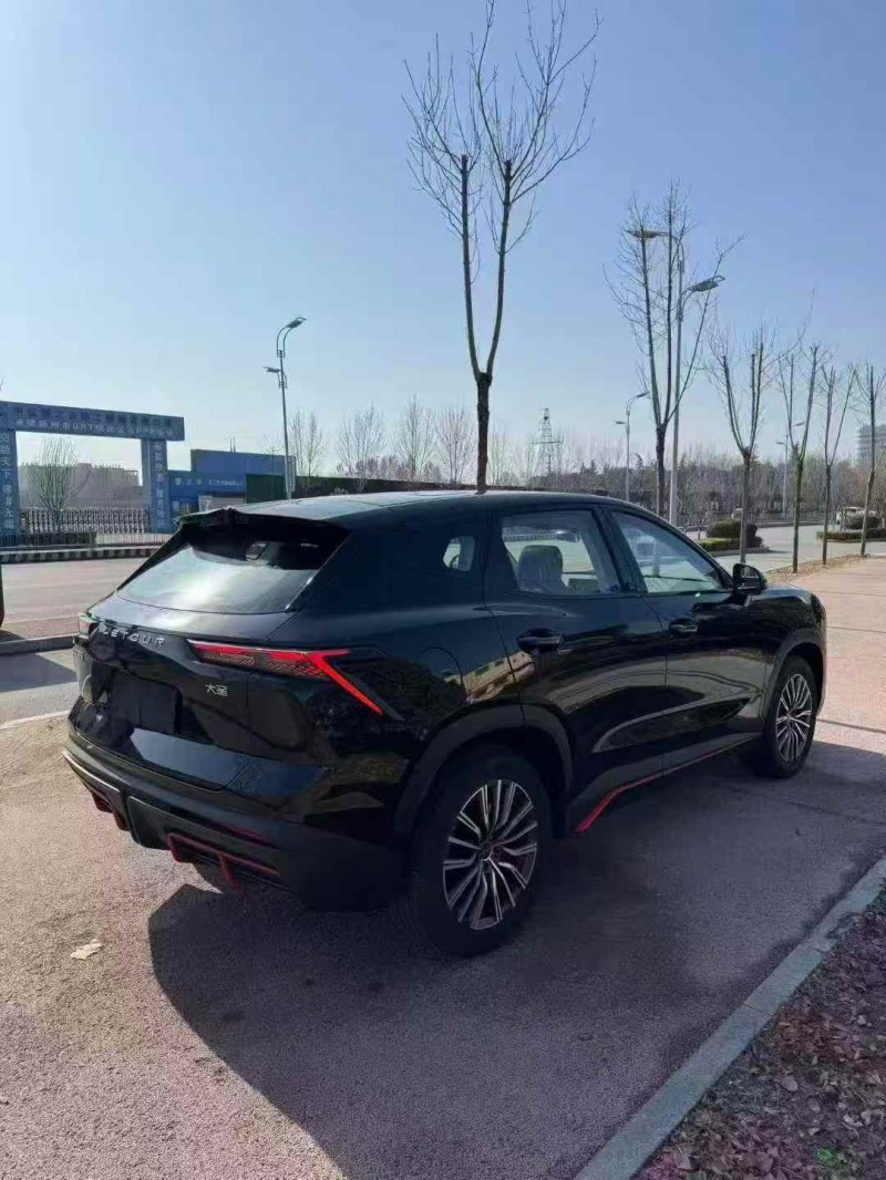 泰安24年奇瑞捷途9