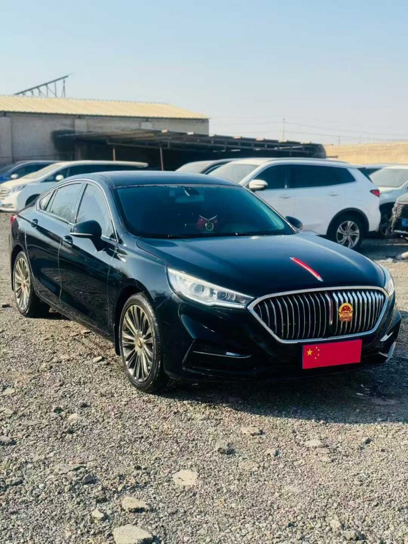 鹤壁21年红旗H53