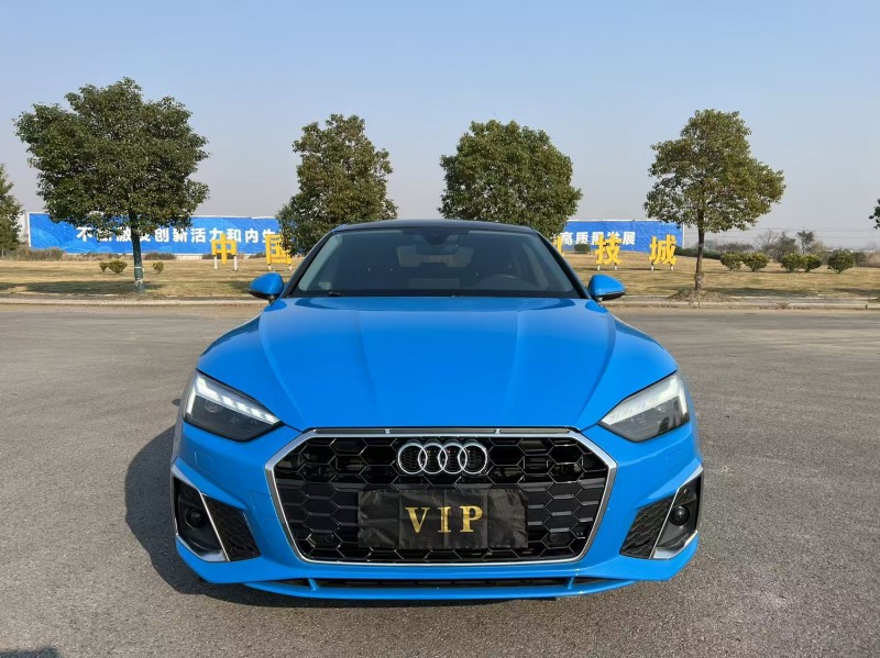 盐城22年奥迪A51