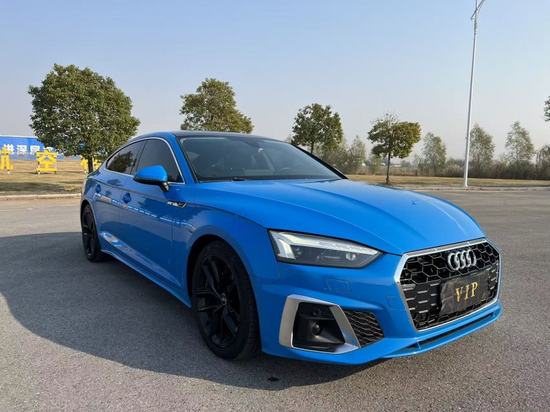 盐城22年奥迪A52