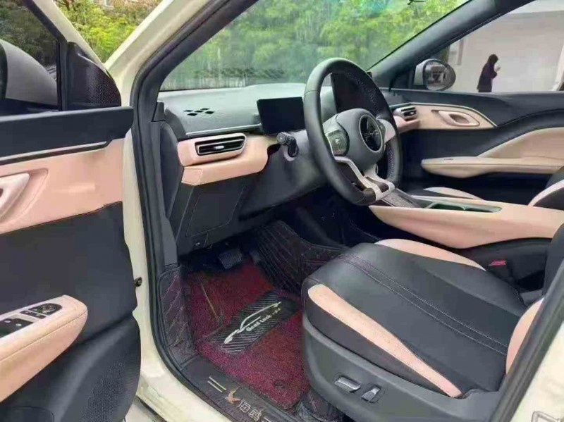 茂名23年比亚迪海鸥6