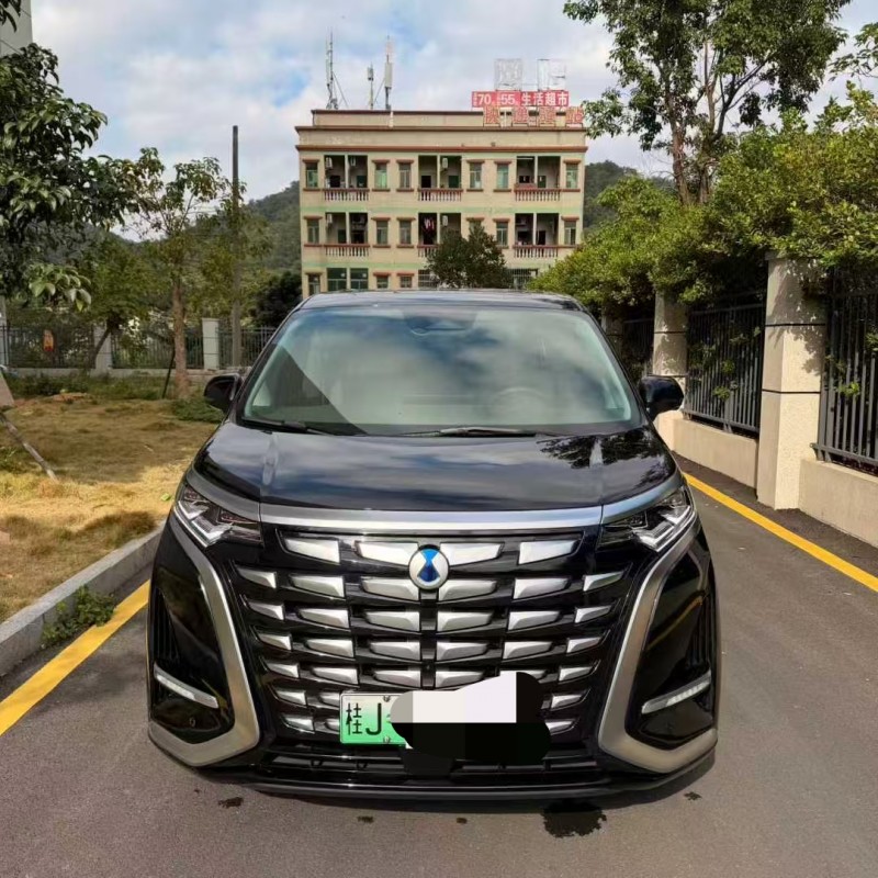 广州23年腾势D91