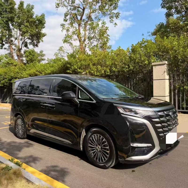 广州23年腾势D93