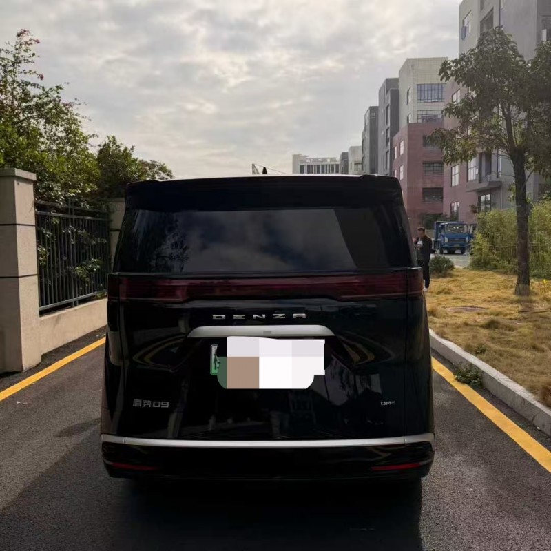 广州23年腾势D99