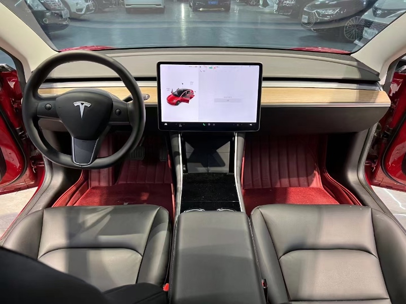 襄阳20年特斯拉MODEL 38