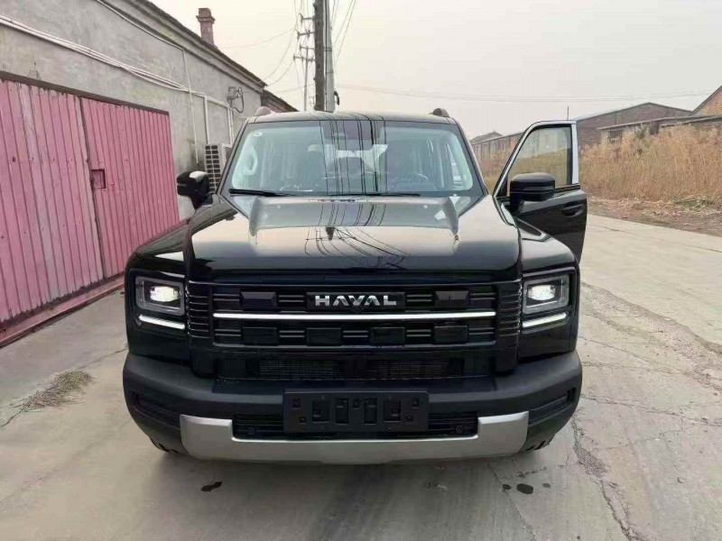 邢台25年哈弗枭龙1