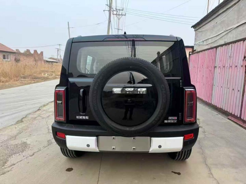 邢台25年哈弗枭龙9