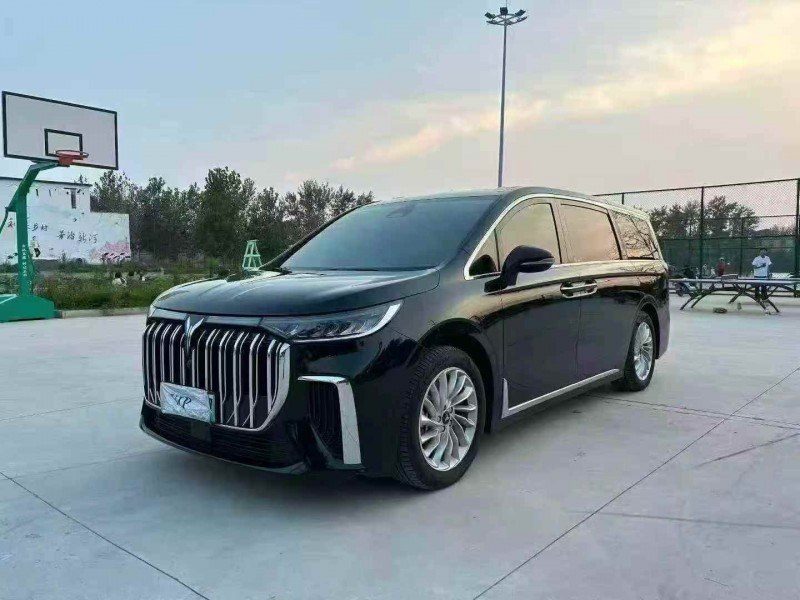 徐州24年岚图汽车梦想家3