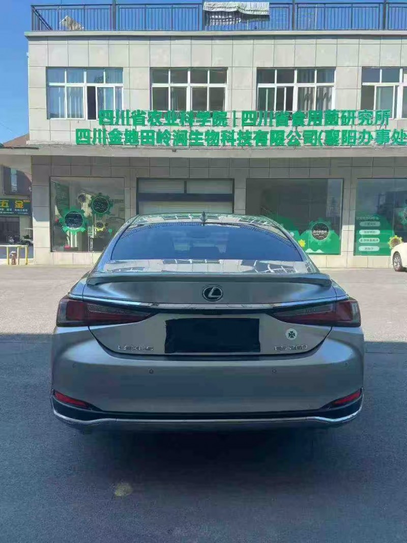 襄阳22年雷克萨斯ES9