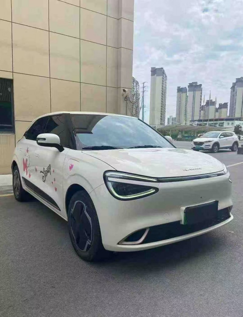 襄阳24年东风纳米3