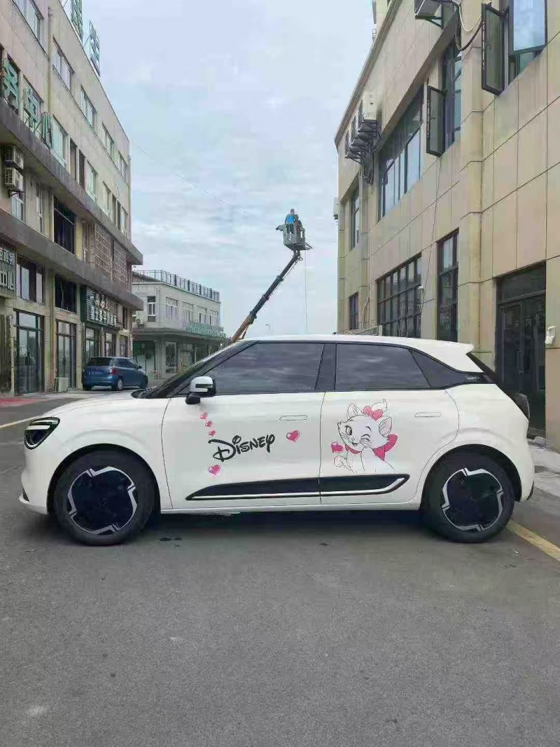 襄阳24年东风纳米4