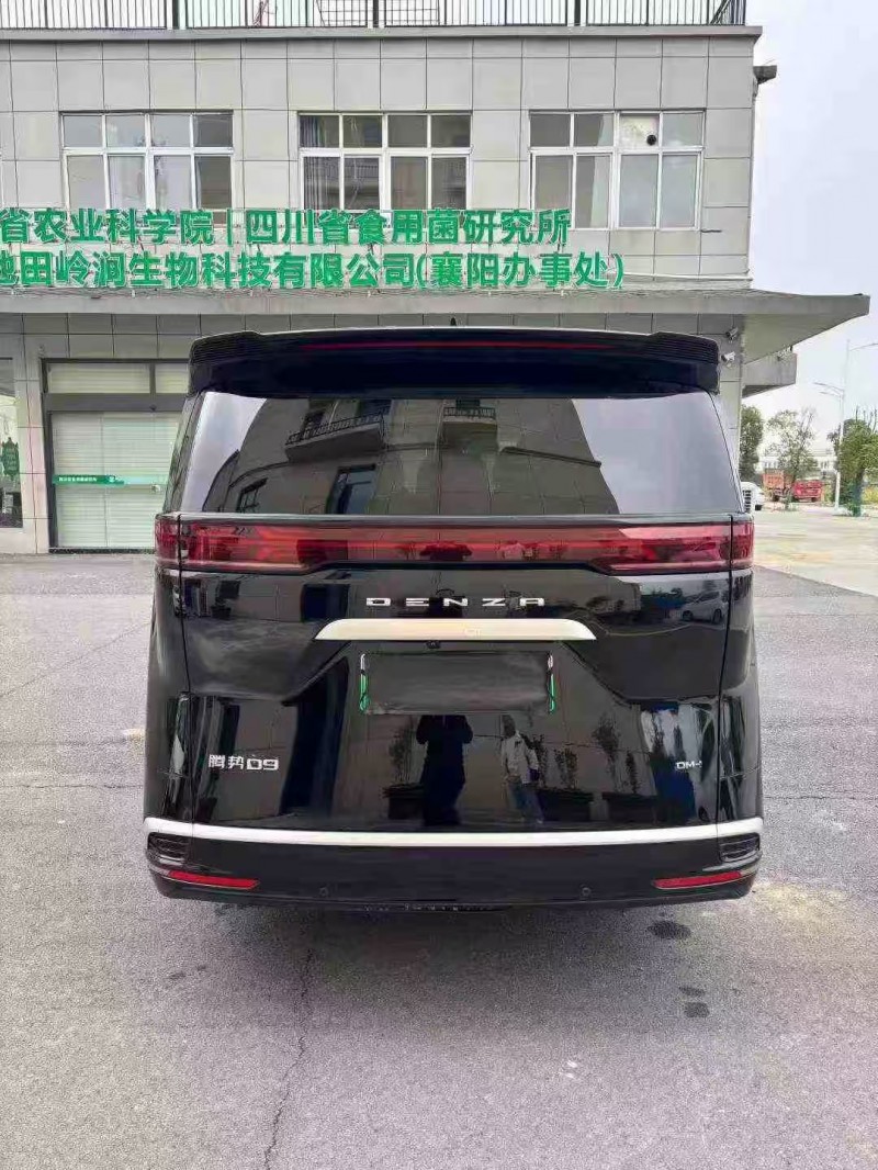 襄阳23年腾势D99