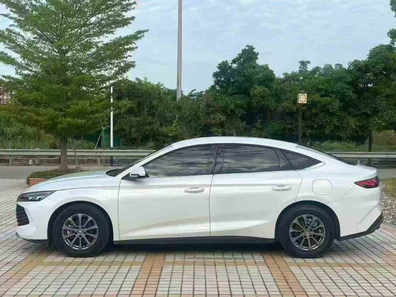 深圳24年比亚迪秦3