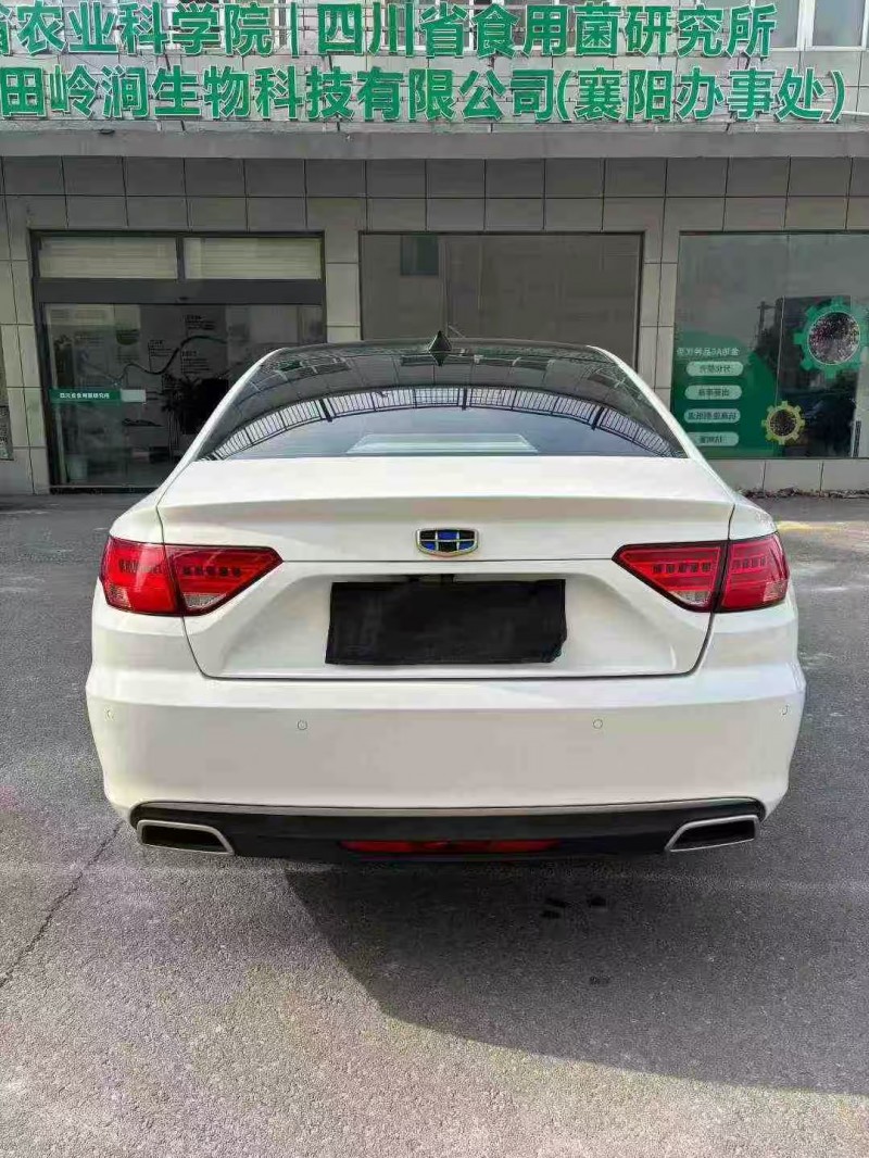 襄阳17年吉利帝豪9