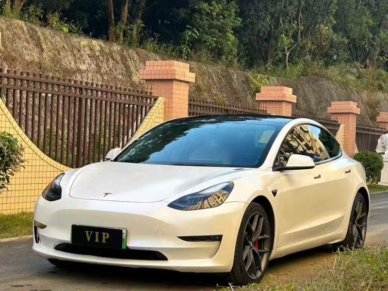 东莞21年特斯拉MODEL 33