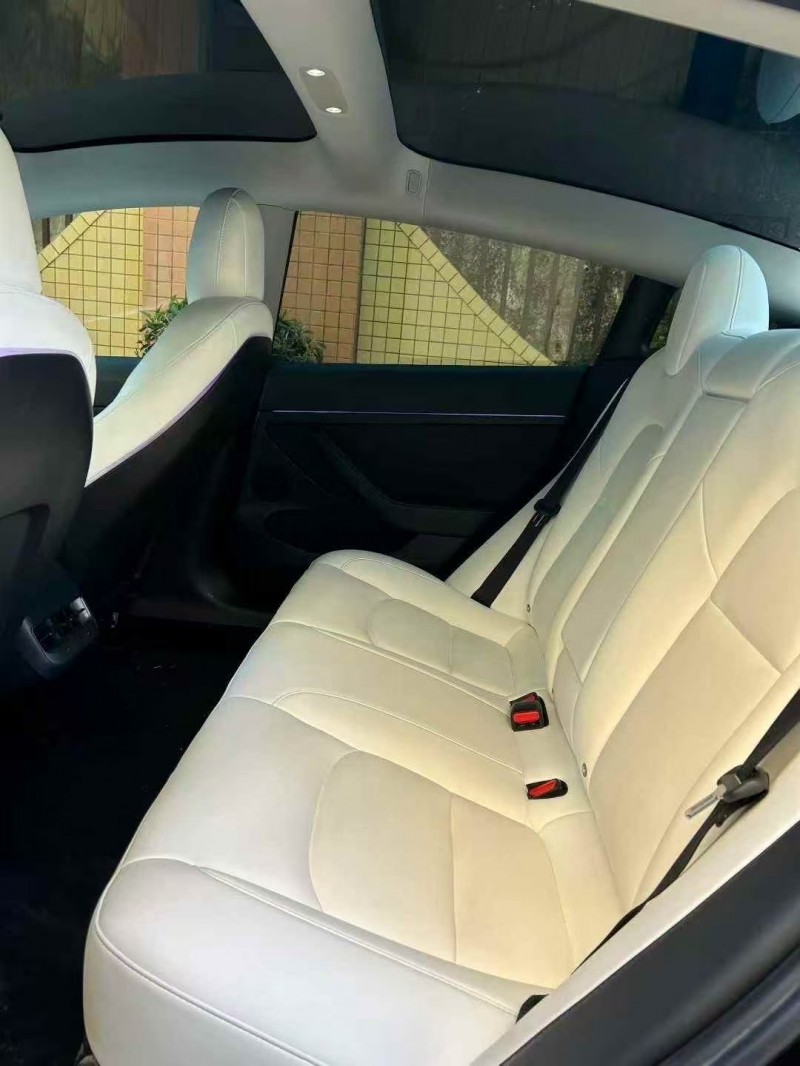 东莞21年特斯拉MODEL 39