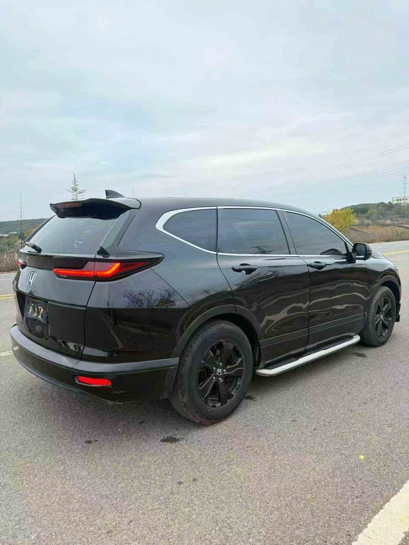 保山20年本田皓影8