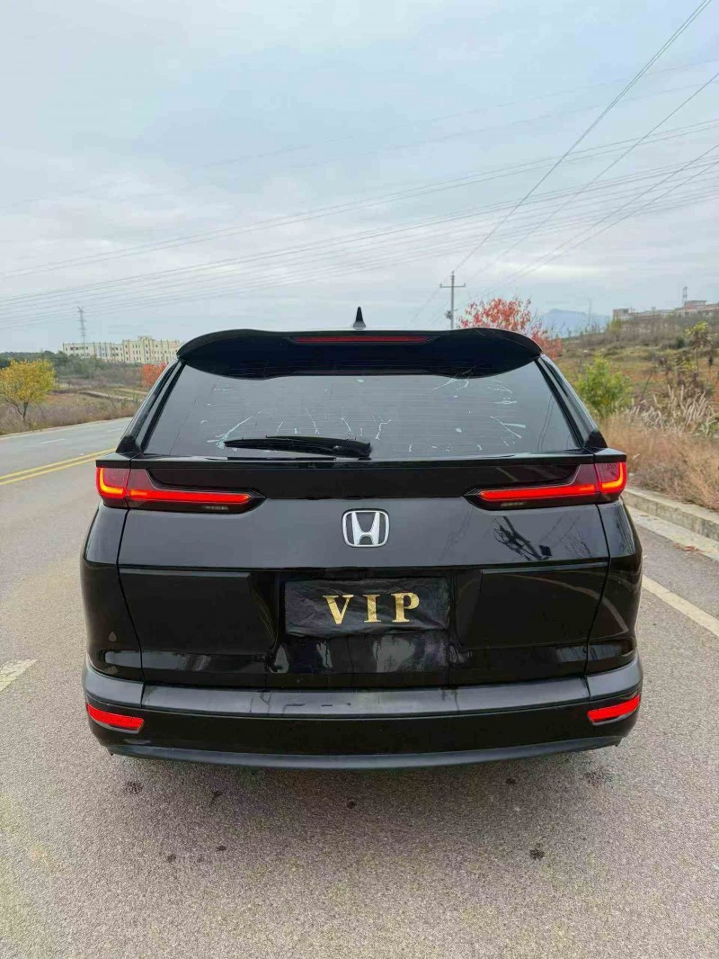 保山20年本田皓影9