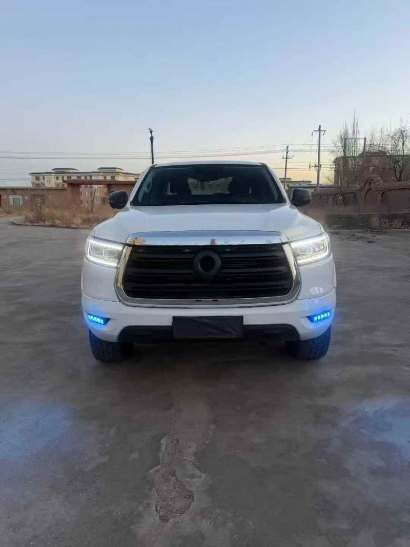 吴忠20年长城汽车炮 皮卡1