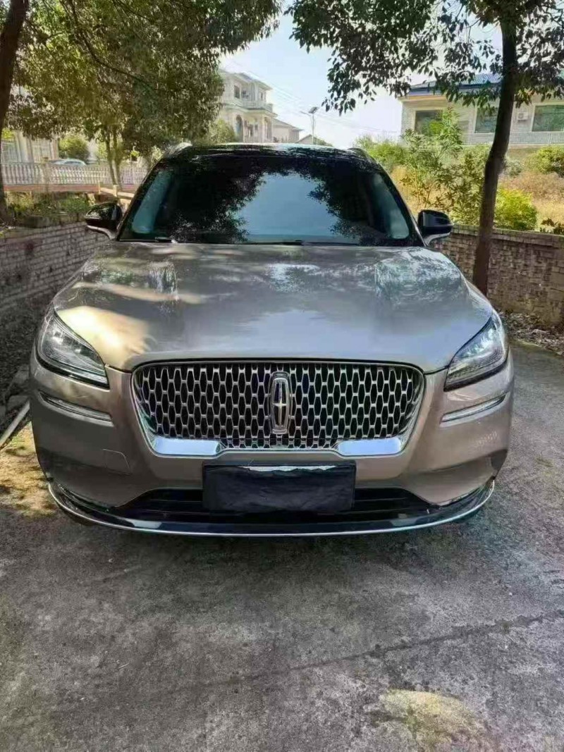 新余21年林肯冒险家1