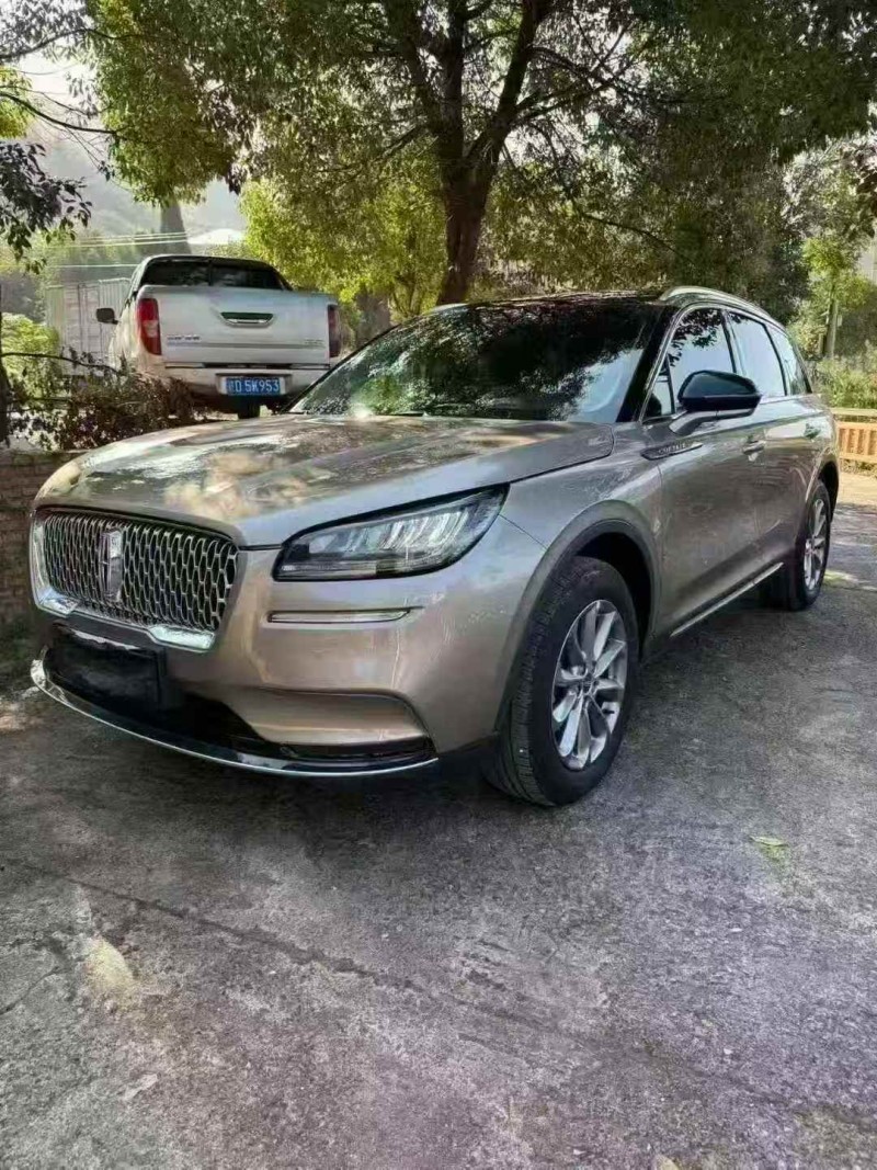 新余21年林肯冒险家2