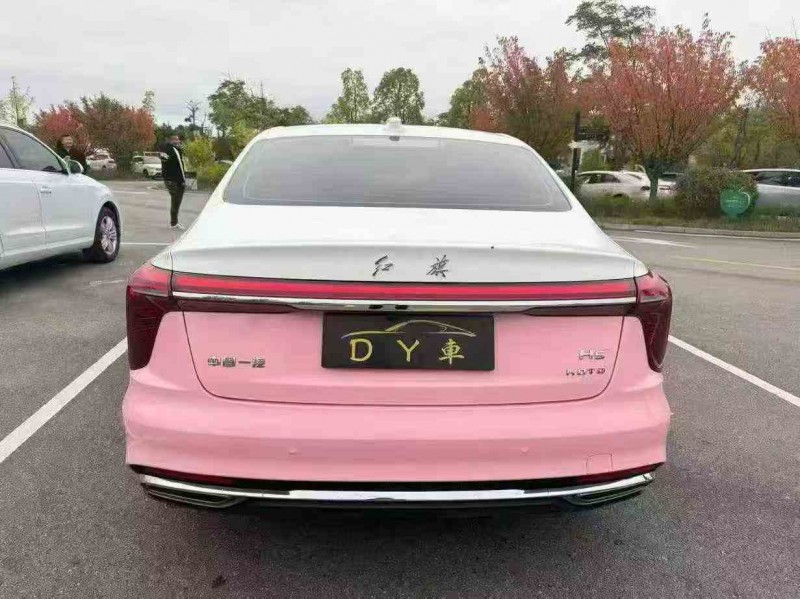 临沧24年红旗H59